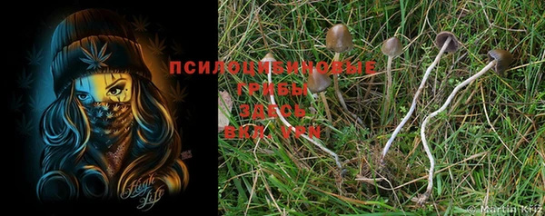дживик Заволжье