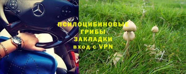 дживик Заволжье