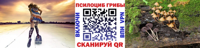 Галлюциногенные грибы мухоморы купить наркотики сайты Мариинск
